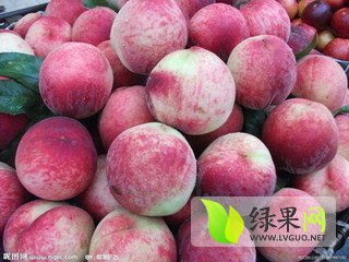 突围桃子最新价格详解,购买步骤与价格指南