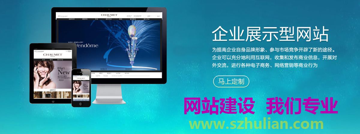 最新网站技术揭秘，引领未来网络体验的革命性创新