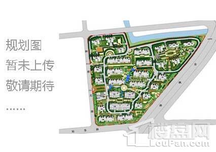 桔园小区最新规划揭秘，邻里间的温馨故事