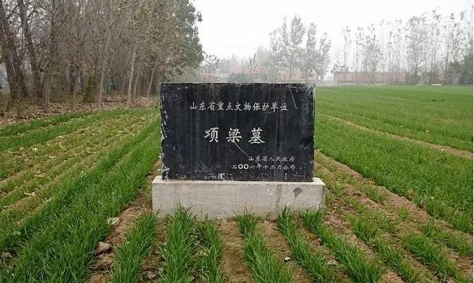 菏泽城北最新规划揭秘,未来发展蓝图与趋势分析