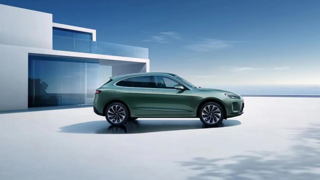 sfsf66最新，小巷深处的独特风味揭秘