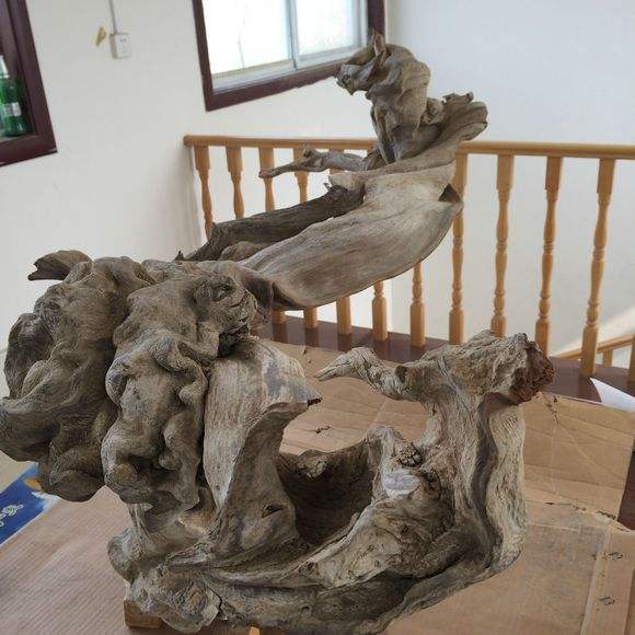 崖柏最新资讯与观点论述汇总