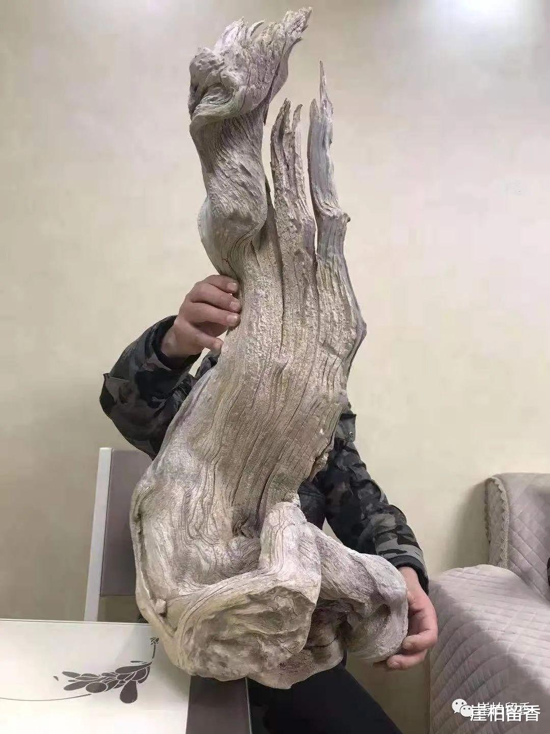 崖柏最新资讯与观点论述汇总