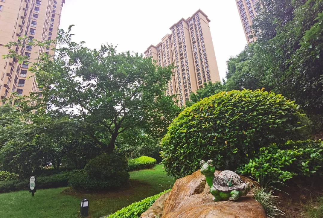 无锡房产新闻最新动态，全面指南与深度解析