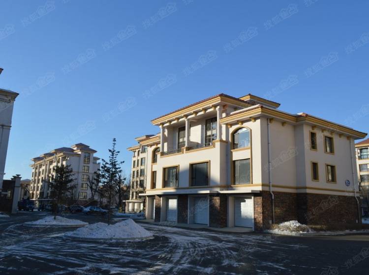 泰来楼房最新动态,温馨日常的探寻