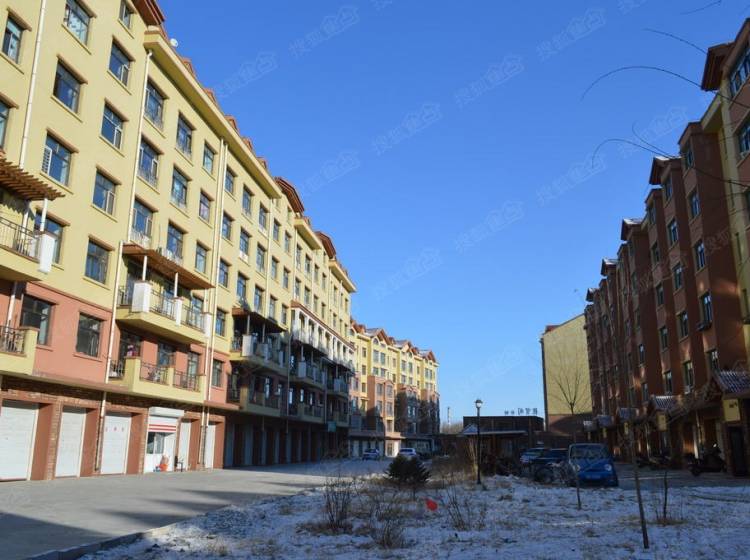 泰来楼房最新动态,温馨日常的探寻