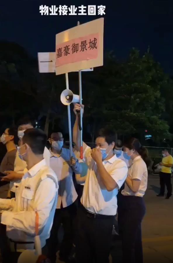 金叶华府最新价格与市场态势，个人观点和深度解析