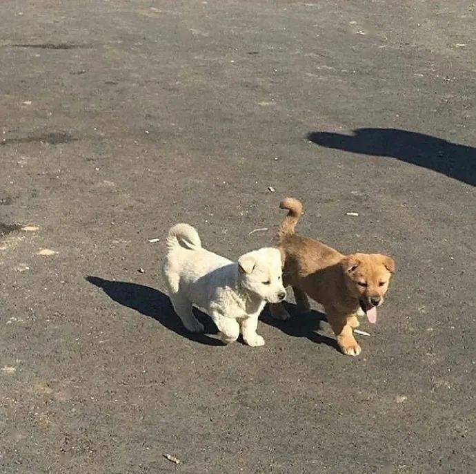 王中王72396王中王开奖结果今天,最新答案诠释说明_FWL99.597娱乐版