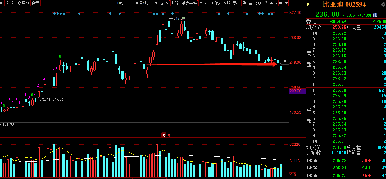 新澳门免费资料：全,数据整合决策_YYR99.194多维版