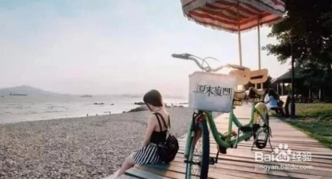 最新旅游方式，欢乐与陪伴的旅程体验