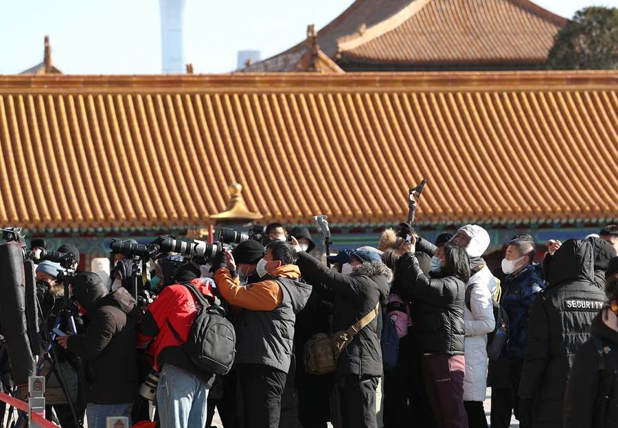 故宫里的童趣时光与深厚友情，最新新闻报道