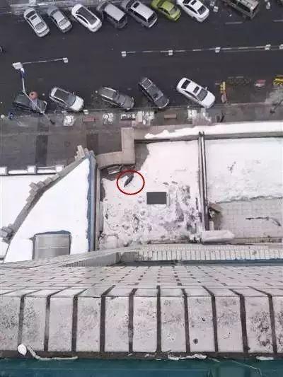 物理坠落最新下载,游戏下载探讨全解析