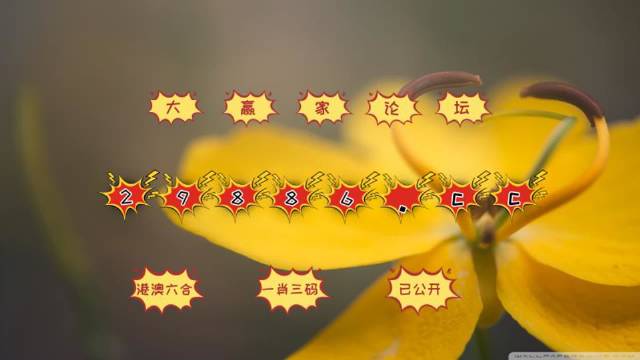 4949澳门免费资料内容资料,释意性描述解_YAV99.372明亮版