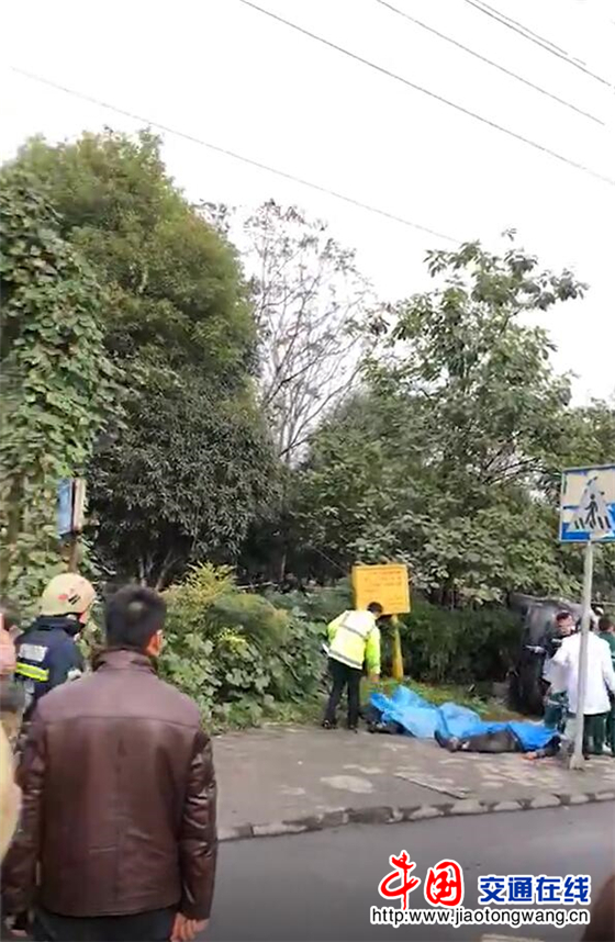 乐山车祸事件,自然美景背后的意外之旅