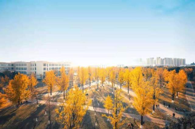 2024新澳门王中王正版,科学解释分析_SOO79.872加速版