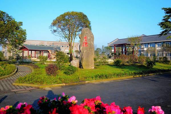 大邑安仁最新动态，温馨有趣的陪伴之旅