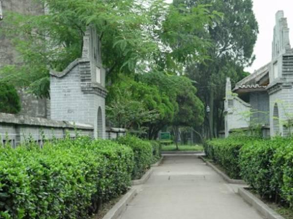 大邑安仁最新动态,温馨有趣的陪伴之旅