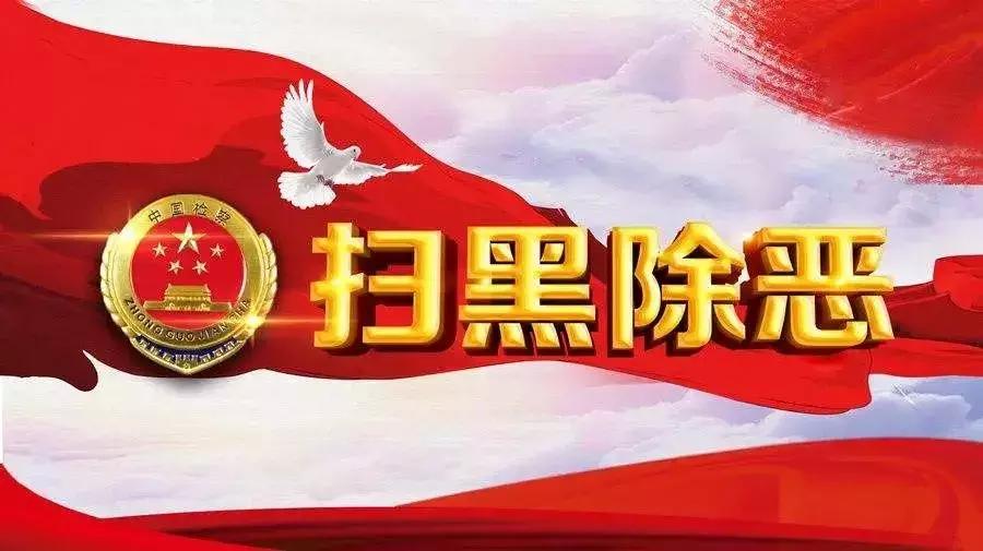 白银案件最新进展全面步骤指南,最新动态与深度解析