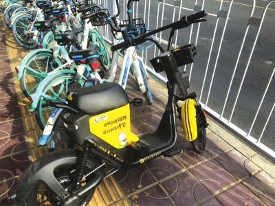 共享单车最新排名，巷弄中的隐藏瑰宝上榜榜单揭晓