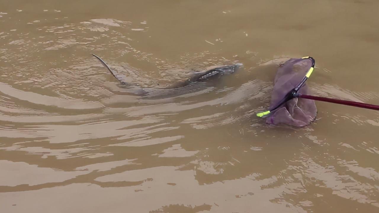 最新邯郸钓鱼地点探索,收获自信与成就的鱼乐之地