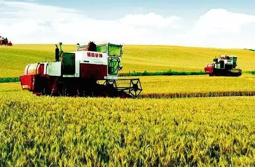 最新农业探索,自然美景之旅,揭示现代农业的奥秘