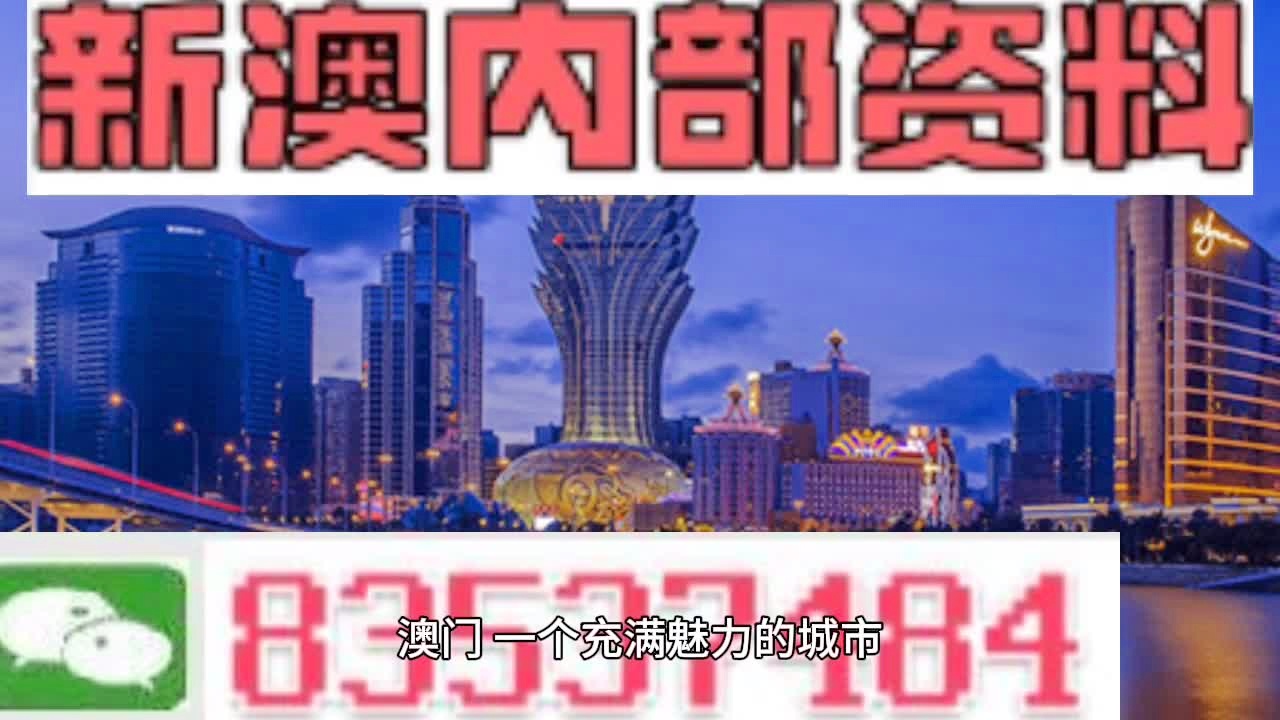 澳门百晓生免费资料,数据导向计划_SJQ23.213超高清版