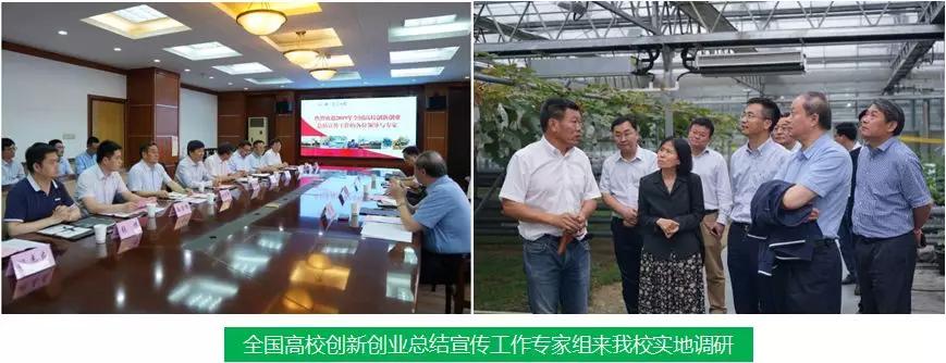 新澳2024最新资料大全,创新计划制定_IOE97.902教育版