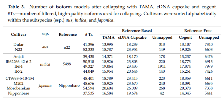 2024澳彩管家婆资料传真,最新研究解读_UEF93.830性能版