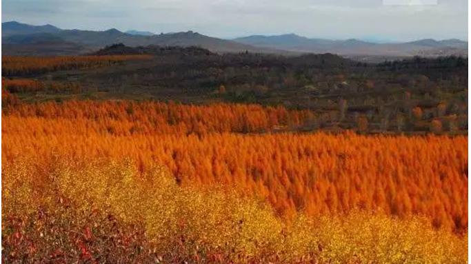 亿湖名苑最新动态,变化中的学习之旅,自信与成就感的源泉,新进展揭秘