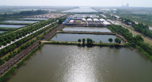 东营垦利区最新规划观点论述及展望