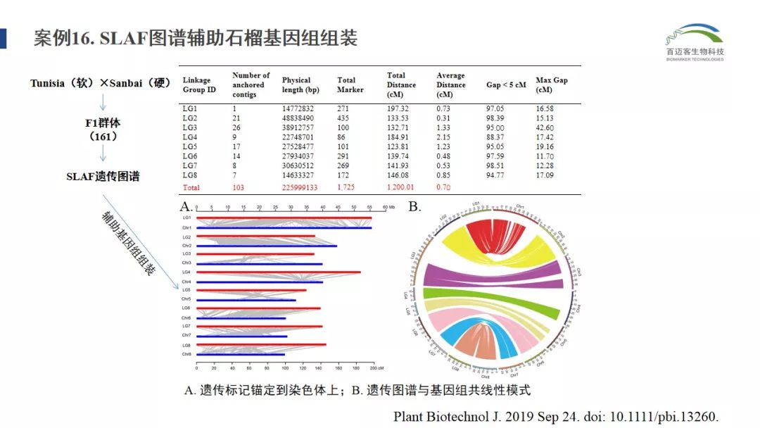 2024天天好彩,案例分析_VDE93.638VR版