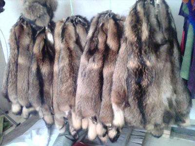 今天貉子皮最新价格,变化中的学习带来自信与成就感。