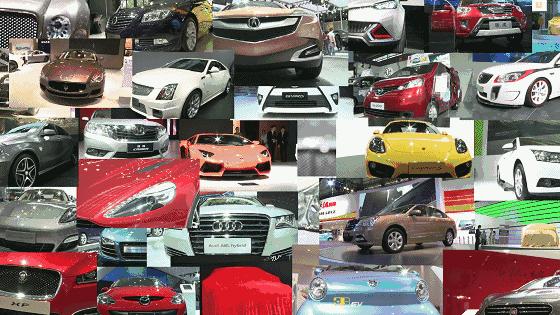 邳州猪最新价格走势揭秘,市场趋势、影响因素与案例分析