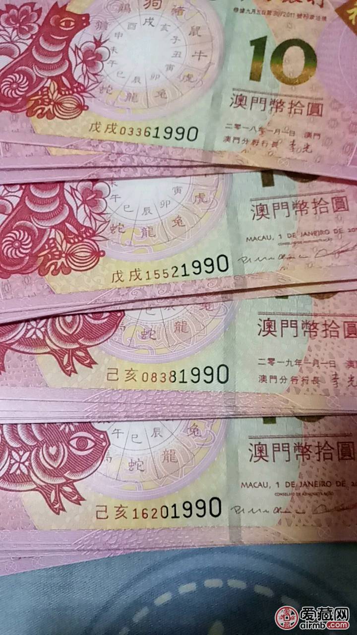 澳门六狗肖,专业解读评估_NAD41.660获取版