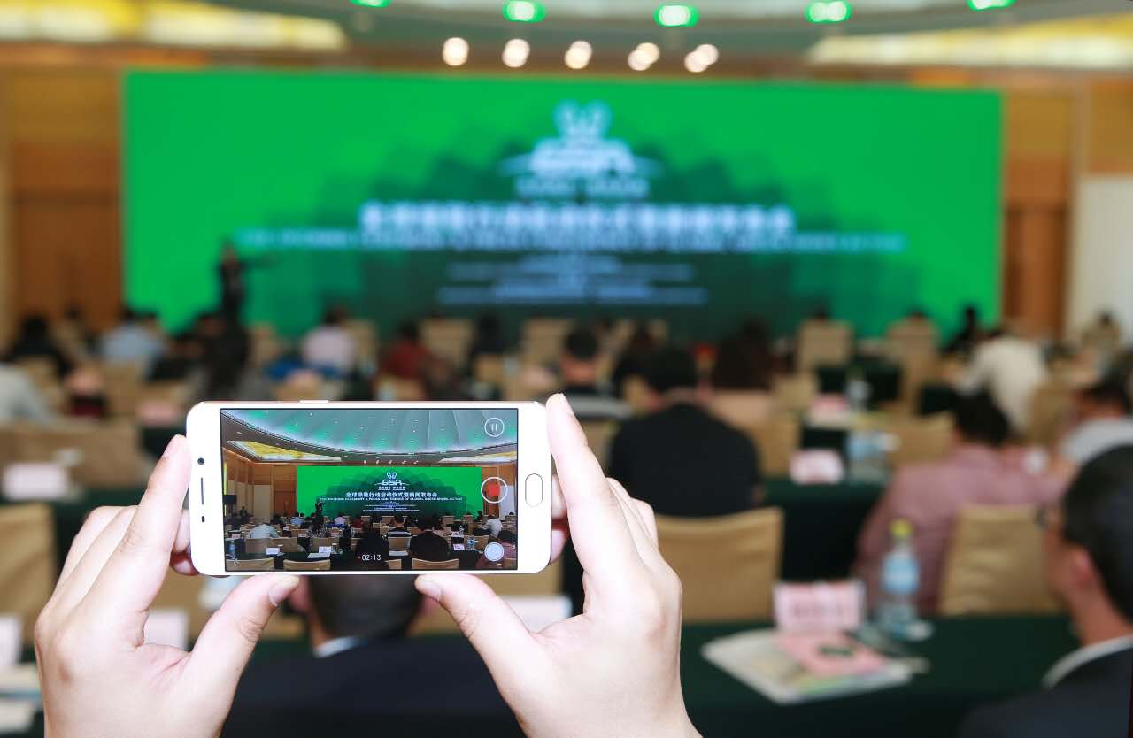 张凯昭最新动态，引领科技潮流，创新让生活更精彩