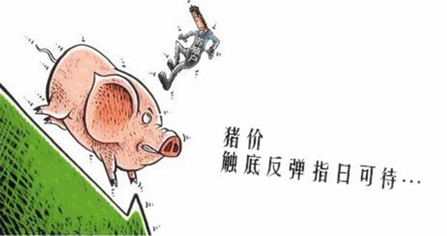 武鸣今日最新猪价，市场走势深度分析与影响展望