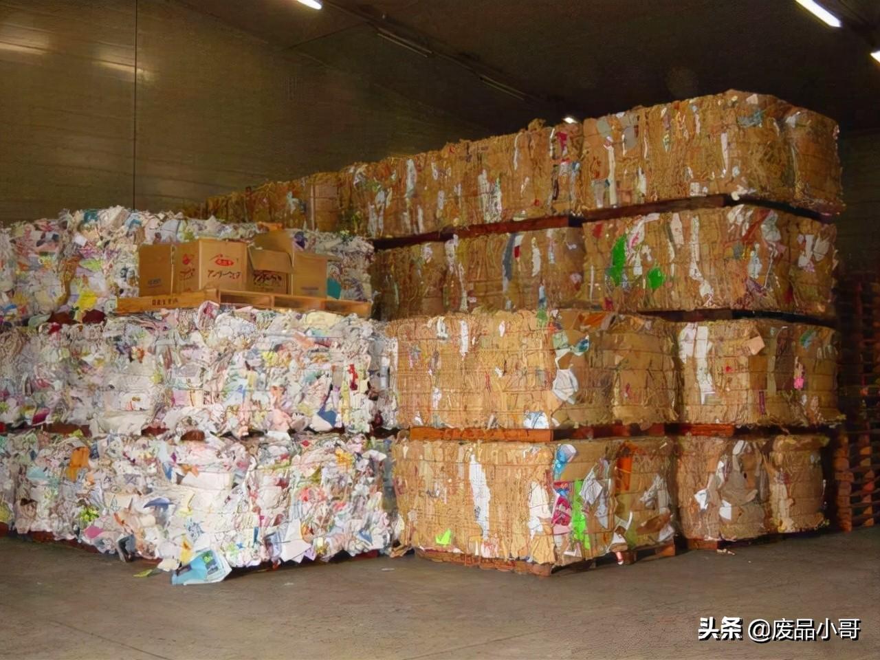 废纸最新动态,自然美景之旅的心灵探索之旅体验