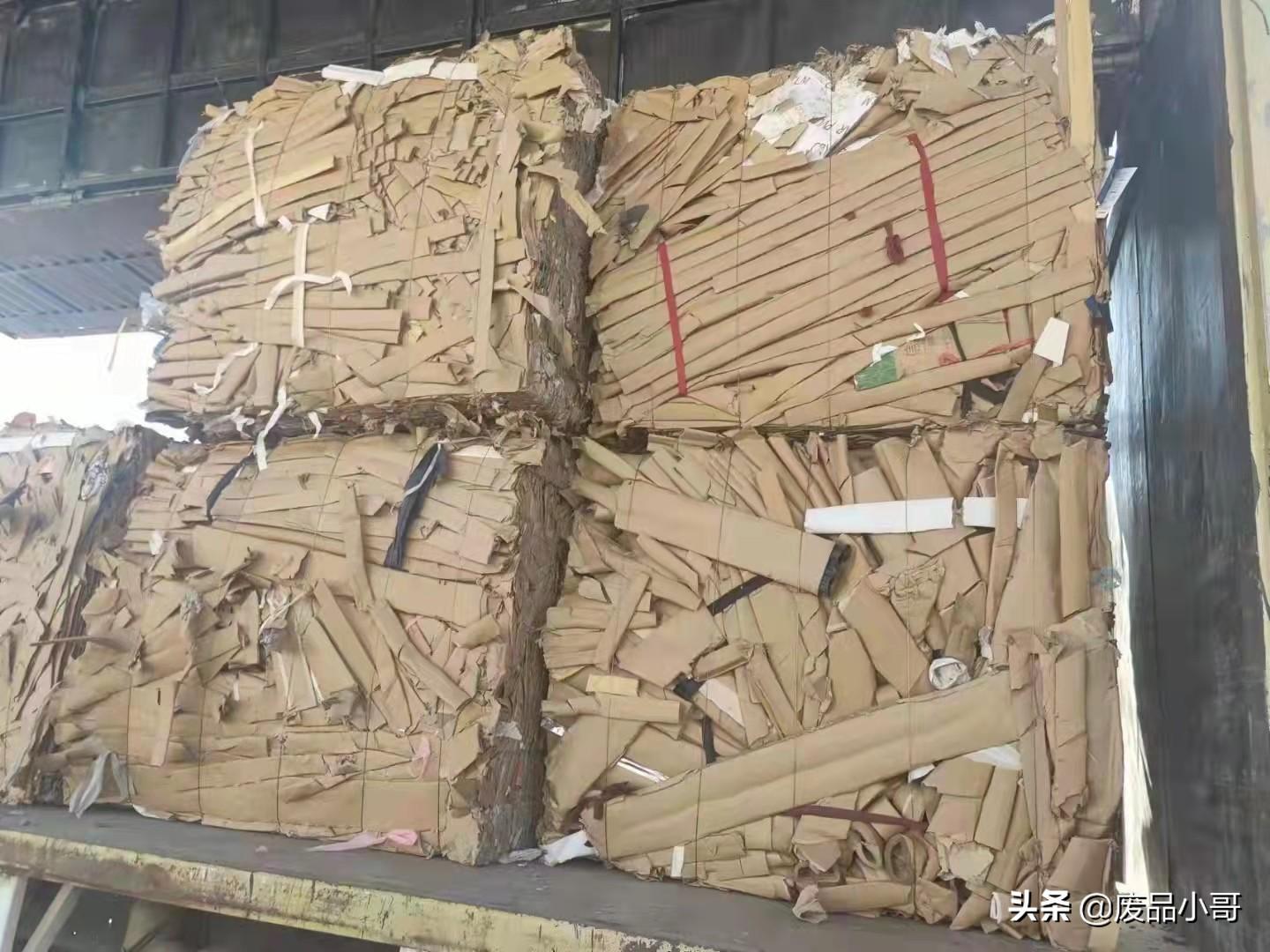 废纸最新动态,自然美景之旅的心灵探索之旅体验