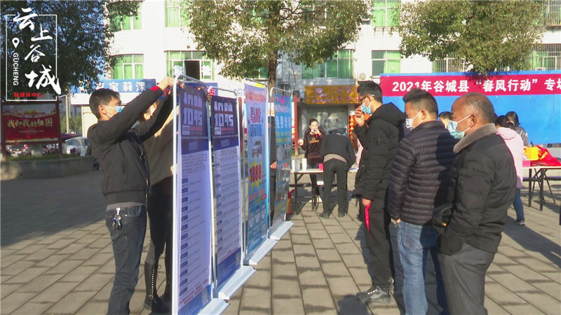 谷城最新民间新闻，高科技产品引领未来科技生活新体验