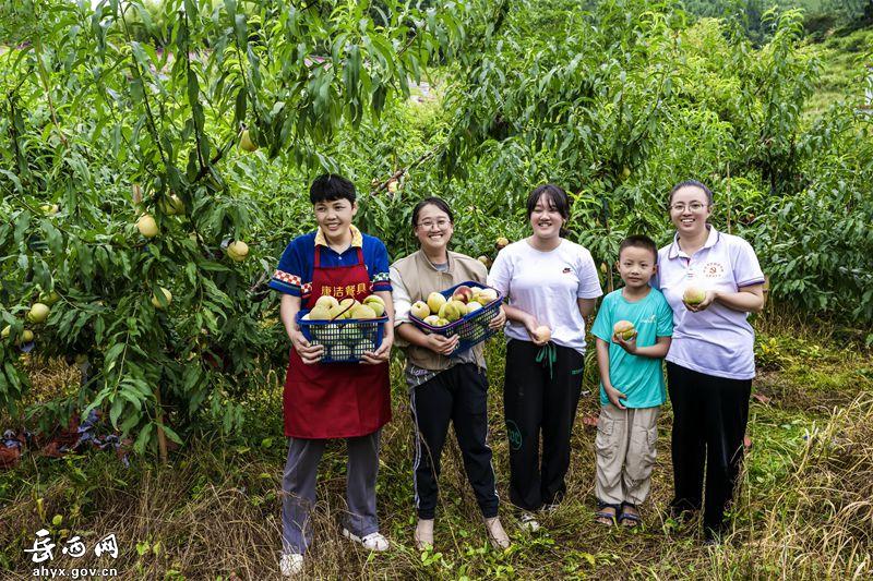 岳西来榜隧道最新,岳西来榜隧道最新进展，揭秘工程新动态！