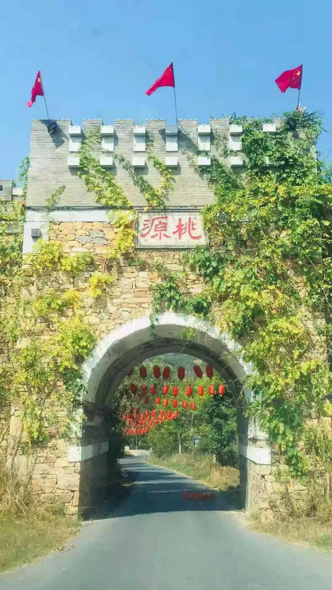 随州桃园大桥最新动态，奇遇与家的温暖揭秘