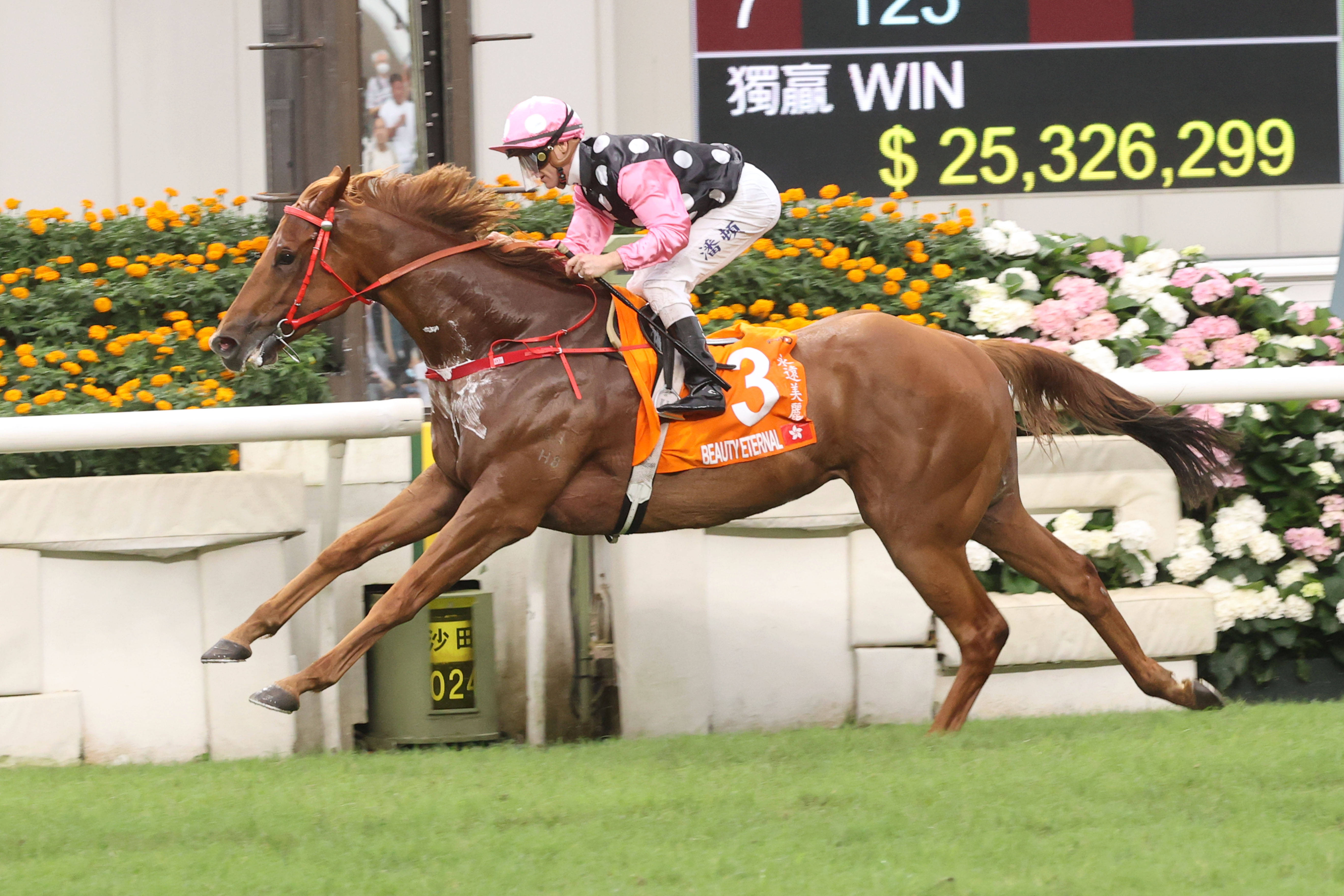 2024年香港买马资料,效率评估方案_MUG9.825父母版