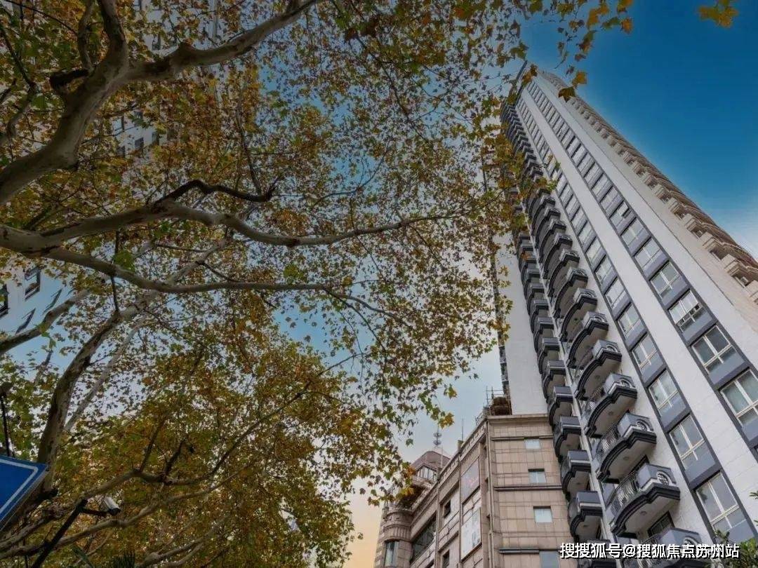 新澳2024资料大全免费,平衡执行计划实施_DBY83.888私人版