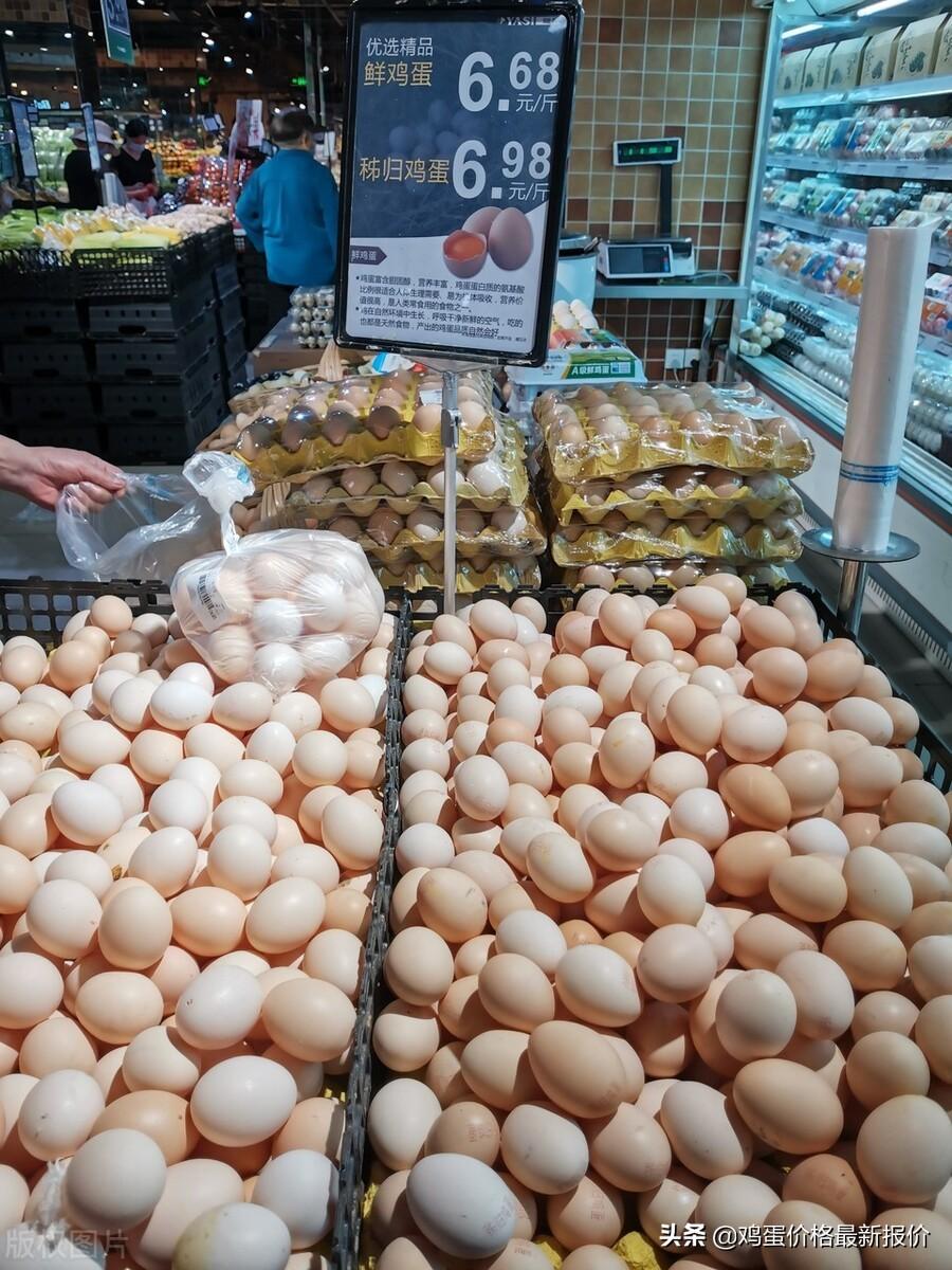 北京今日鸡蛋最新价格,北京今日鸡蛋最新价格，小巷深处的鸡蛋故事