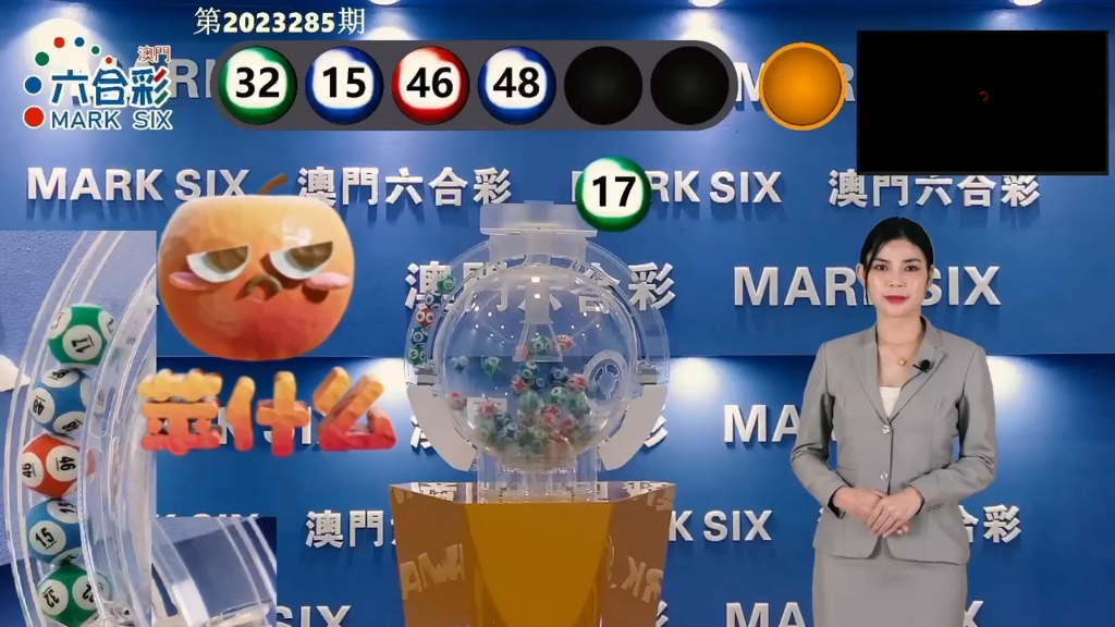 澳门六开奖结果2024开奖记录今晚直播视频播放,系统评估分析_DVR83.224内容版