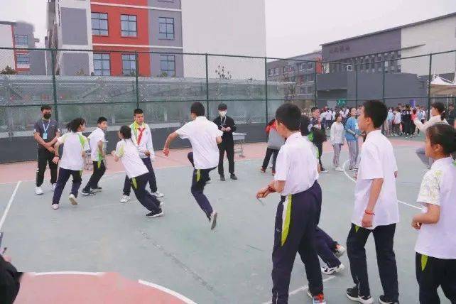 今晚开特马开奖结果,精准分析实践_梦想版44.156