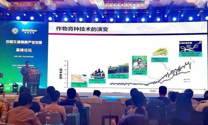 2024澳门最精准跑狗图,标准执行具体评价_Phablet35.710
