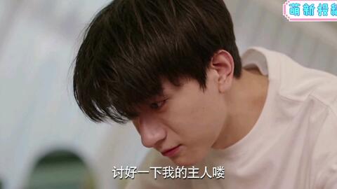 谁让我当红最新攻略与日常趣事集锦，温馨之旅的启示