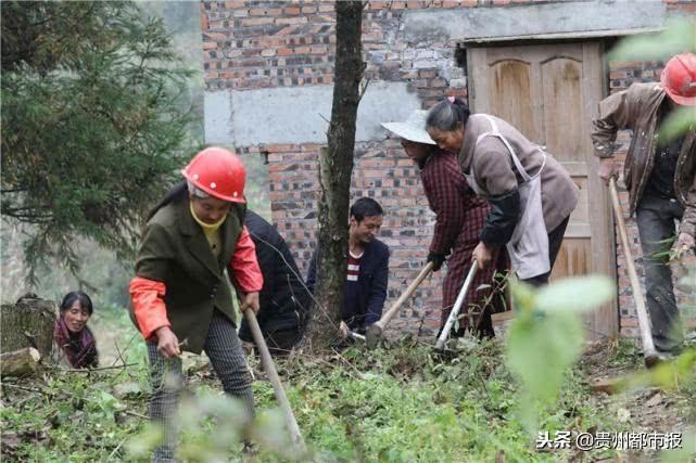 微七星关修路最新动态，历程、影响与新闻报道