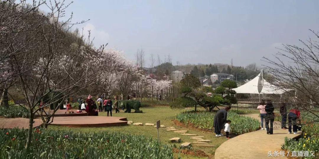 遵义航新快线最新动态,科技驱动未来,智能生活新纪元启程